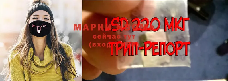 купить наркотики цена  Курчалой  Марки 25I-NBOMe 1500мкг 